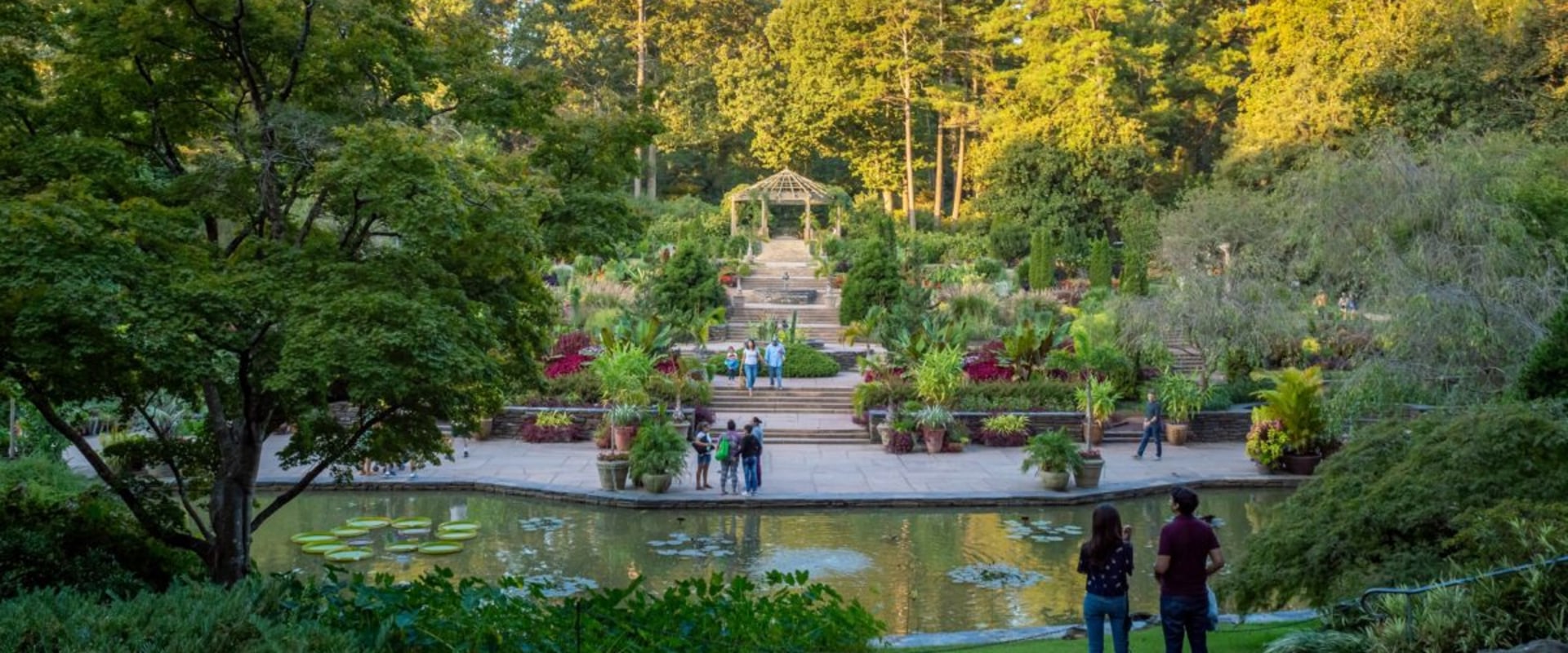 Exploring the Best Community Gardens and Farmers Markets in Durham, NC