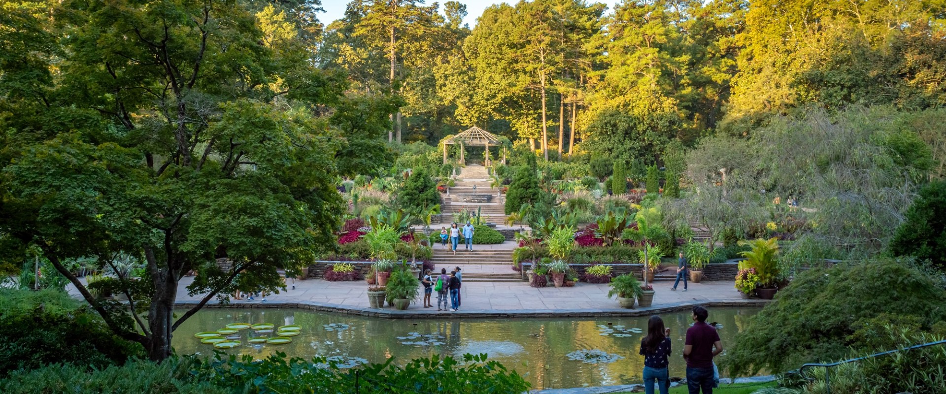 Discover the Best Entertainment Options in Durham, NC
