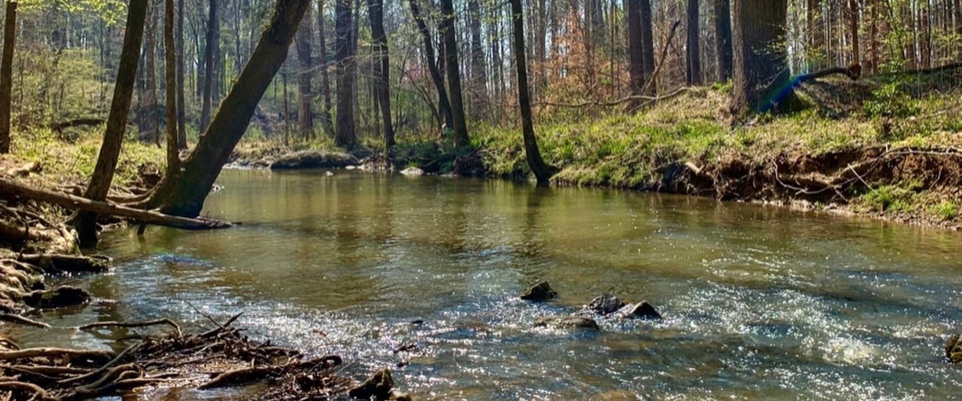 Exploring the Benefits of Green Spaces and Nature Preserves in Durham, NC
