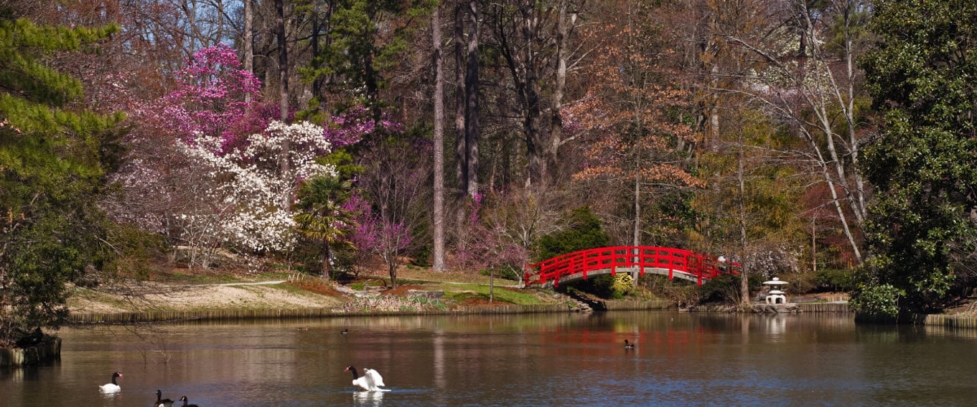 Explore the Most Affordable Neighborhoods in Durham, NC