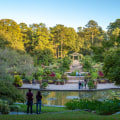 Exploring the Best Community Gardens and Farmers Markets in Durham, NC
