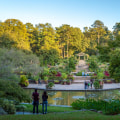 Discover the Best Entertainment Options in Durham, NC