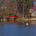 Explore the Most Affordable Neighborhoods in Durham, NC