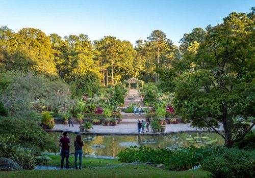 Exploring the Best Community Gardens and Farmers Markets in Durham, NC