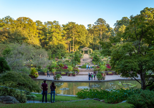 Discover the Best Entertainment Options in Durham, NC