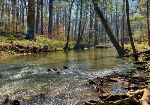 Exploring the Benefits of Green Spaces and Nature Preserves in Durham, NC