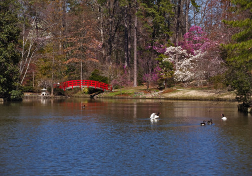 Explore the Most Affordable Neighborhoods in Durham, NC
